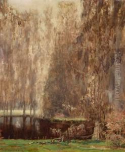 The Wisteria Vine In The Garden Of Dreams