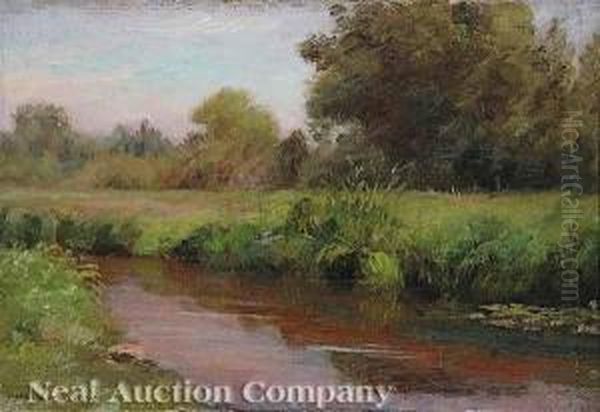 The Meandering Stream - view 1