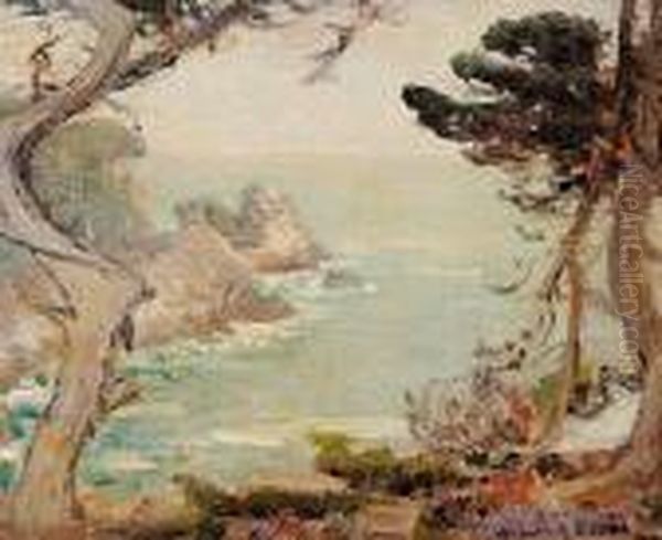 Grey Day Point Lobos - view 1