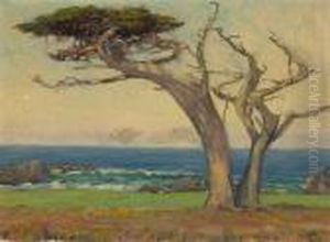 At Cypress Point