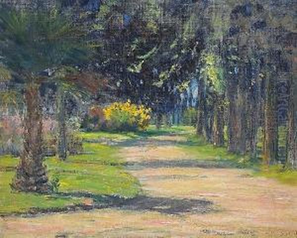 Road Thru Park, Sacramento (no. 1585) - view 1