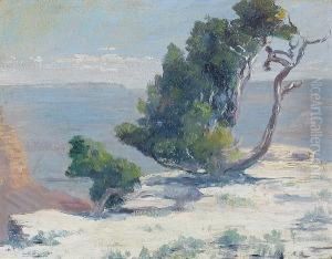 Yosemite Rim (no. 1577)