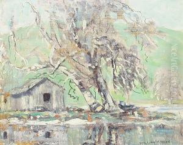 Sycamore - Salinas Road (no. 673) - view 1