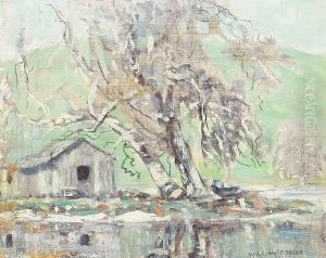 Sycamore - Salinas Road (no. 673)
