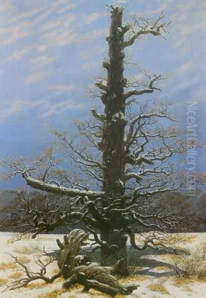 Oak Tree in the Snow - view 1