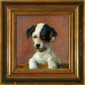 A Foxterrier