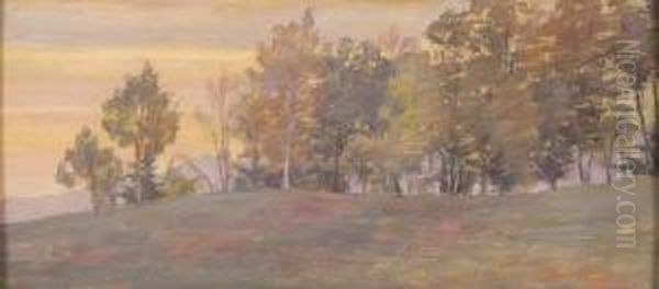 Paesaggio Di Collina Al Tramonto - view 1
