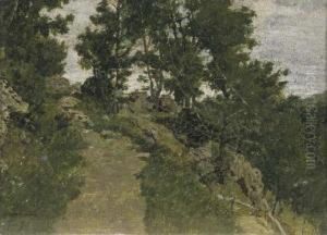 Stradina Di Campagna