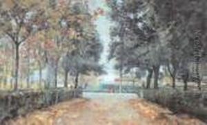 Viale Alberato