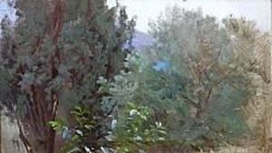 A Forrest Exteriour