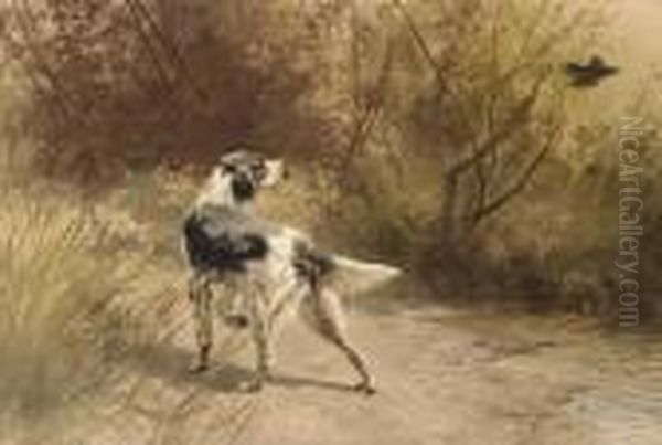 An English Setter Putting Up Woodcock - view 1