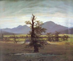 Landscape With Solitary Tree