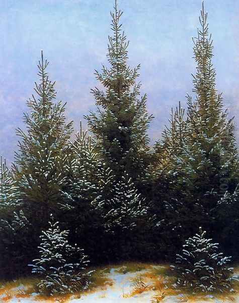 Pine Thicket - view 1