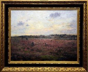 Paysage De Bruyere Paysage De Bruyere