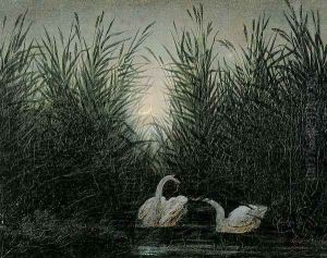 Swans in the reed with first morning-red by Caspar David Friedrich