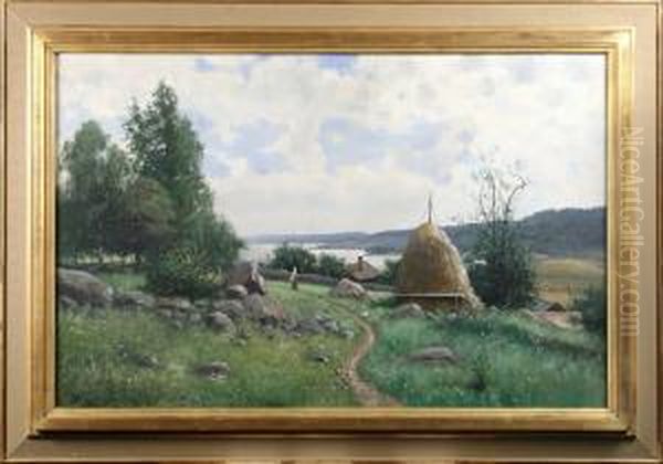 Sommarlandskap Vid Sjo - view 1
