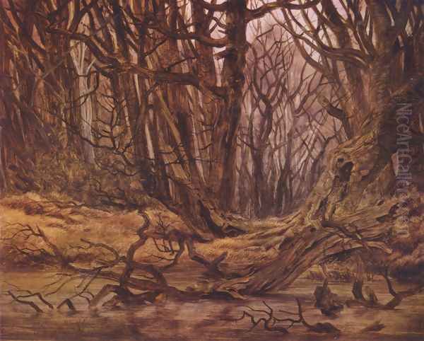 Forest in the late autumn - view 1