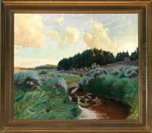A Danish Summer Landscape