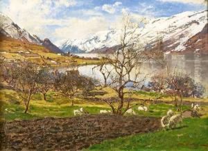 Ullensvang I Hardanger