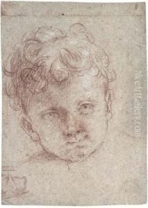 Head Of A Young Child
