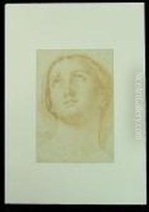 Head Of A Young Woman: A Double-sided Drawing