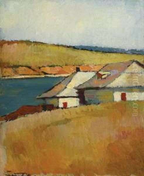 Houses On The Edge Of Cernica'slake - view 1