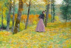 A Walk In The Woods