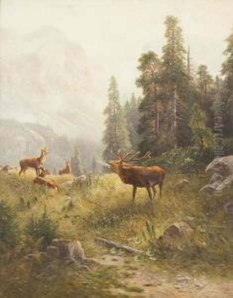 Gebirgslandschaft Mithirsch In Der Brunft - view 1