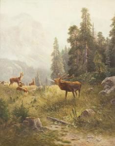 Gebirgslandschaft Mithirsch In Der Brunft