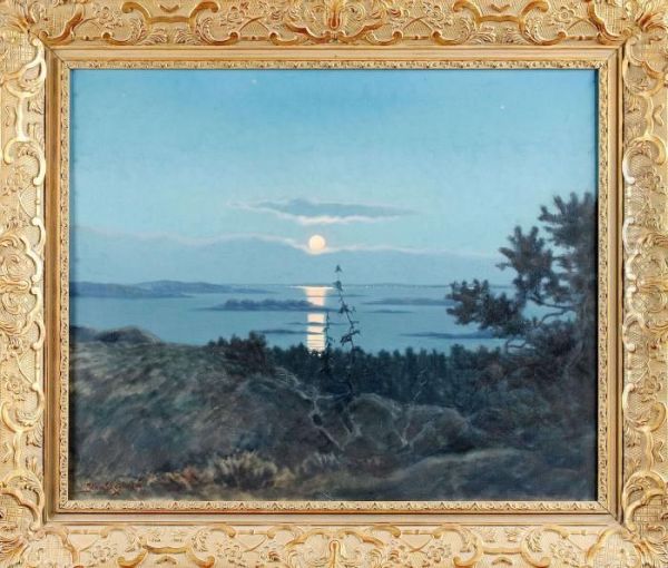 Mansken - view 1