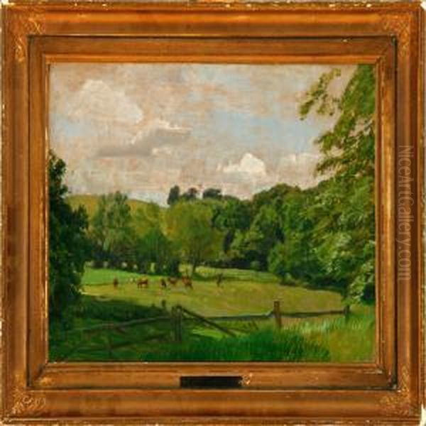 A Summer Fieldlandscape With Grazing Cows - view 1