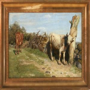 Untethered Cattle by Niels Skovgaard