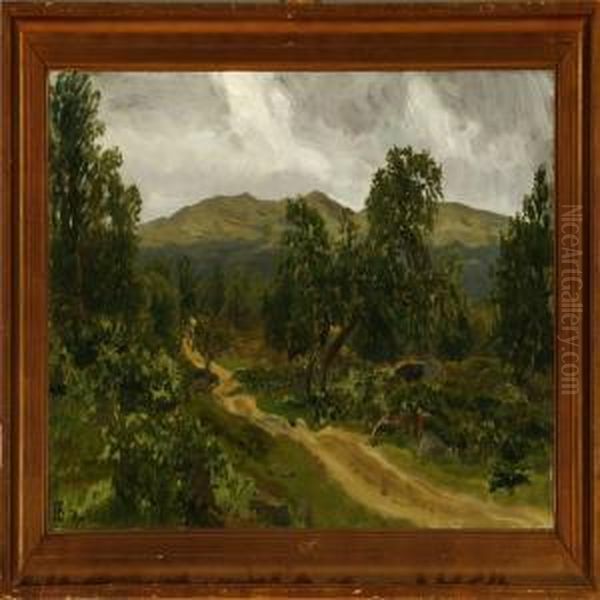 Hojfjeldsskov - view 1