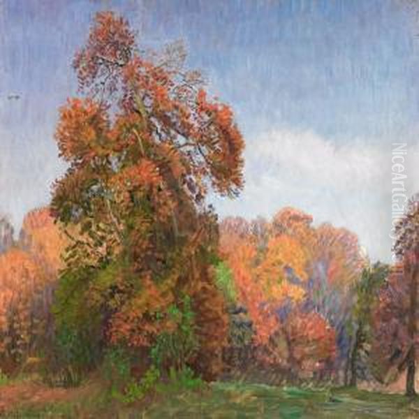 Evening Scenery With Fall Trees And A Rising Full Moon - view 1