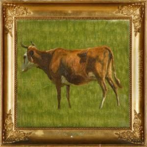 A Jersey Cow Standingon A Field by Niels Skovgaard
