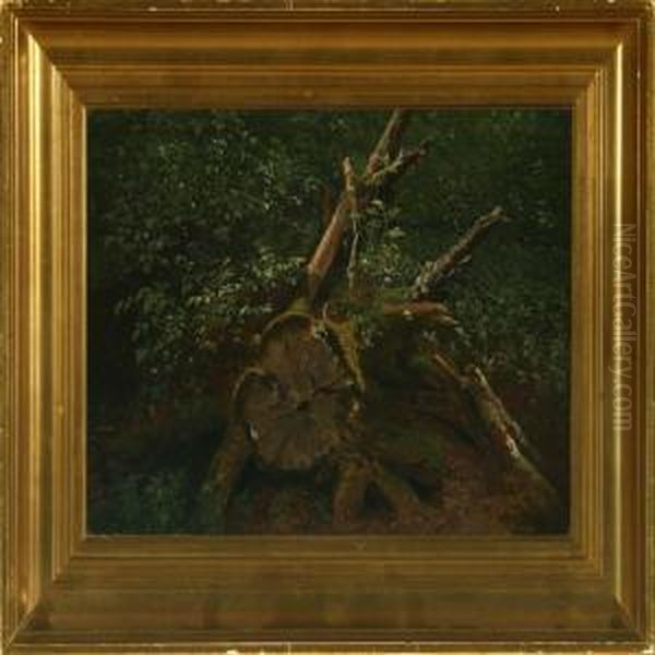 Forest Scenery With Stump - view 1