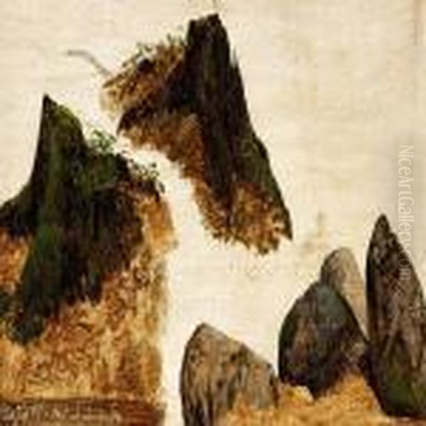 Study Of Stones And Stumps Of Trees - view 1