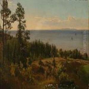 Udsigt Fra Hornbaek Plantage by Peter Christian T. Skovgaard
