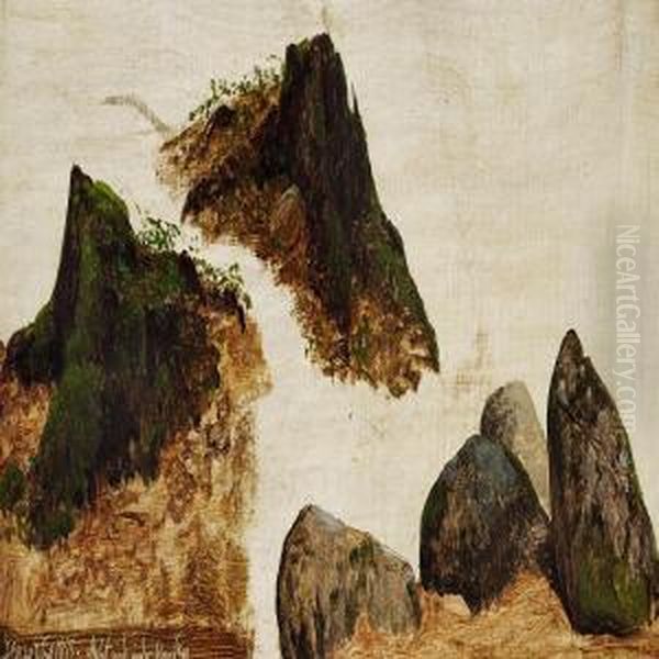 Studies Of Stones And Stumps Of Trees - view 1