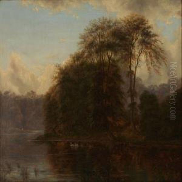 Forest Lake With Swans - view 1