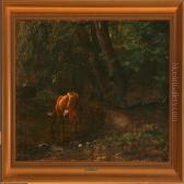 Cow Watering In Alake In The Forest - view 1