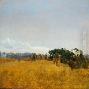 Summer Landscape With A View Of A Cornfield