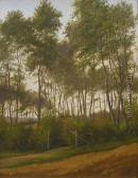 Paysage De Foret - view 1