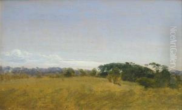 Paysage - view 1