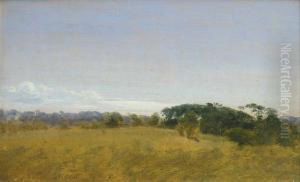 Paysage Paysage