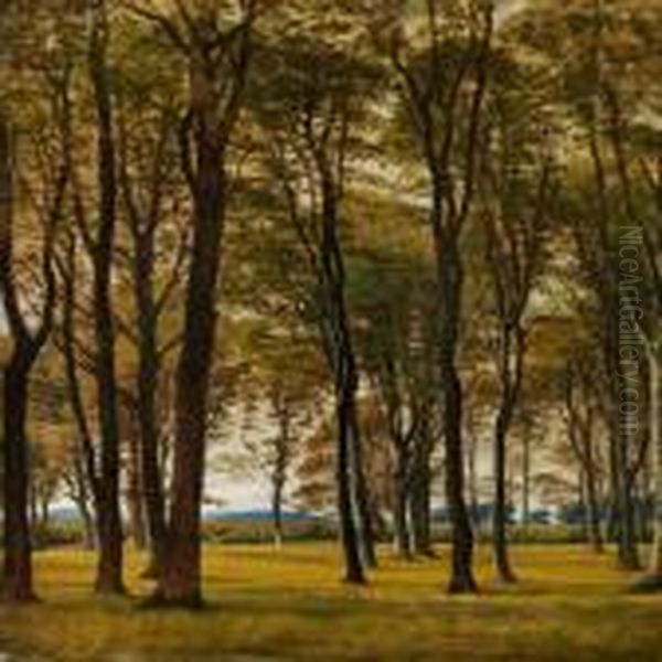 A Summer's Day With Tall, Slim Trees Along Tan Inlet - view 1