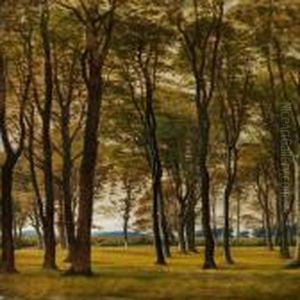 A Summer's Day With Tall, Slim Trees Along Tan Inlet
