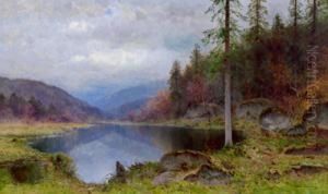 Ampio Paesaggio Con Bosco E Lago
