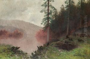 Nordic River Landscape With Tall Spruces
