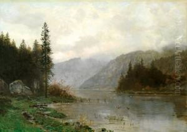 Skogsvann Med Ender - view 1